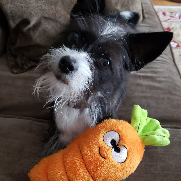 Meet your Posher, Beth - Picture 1 of 1